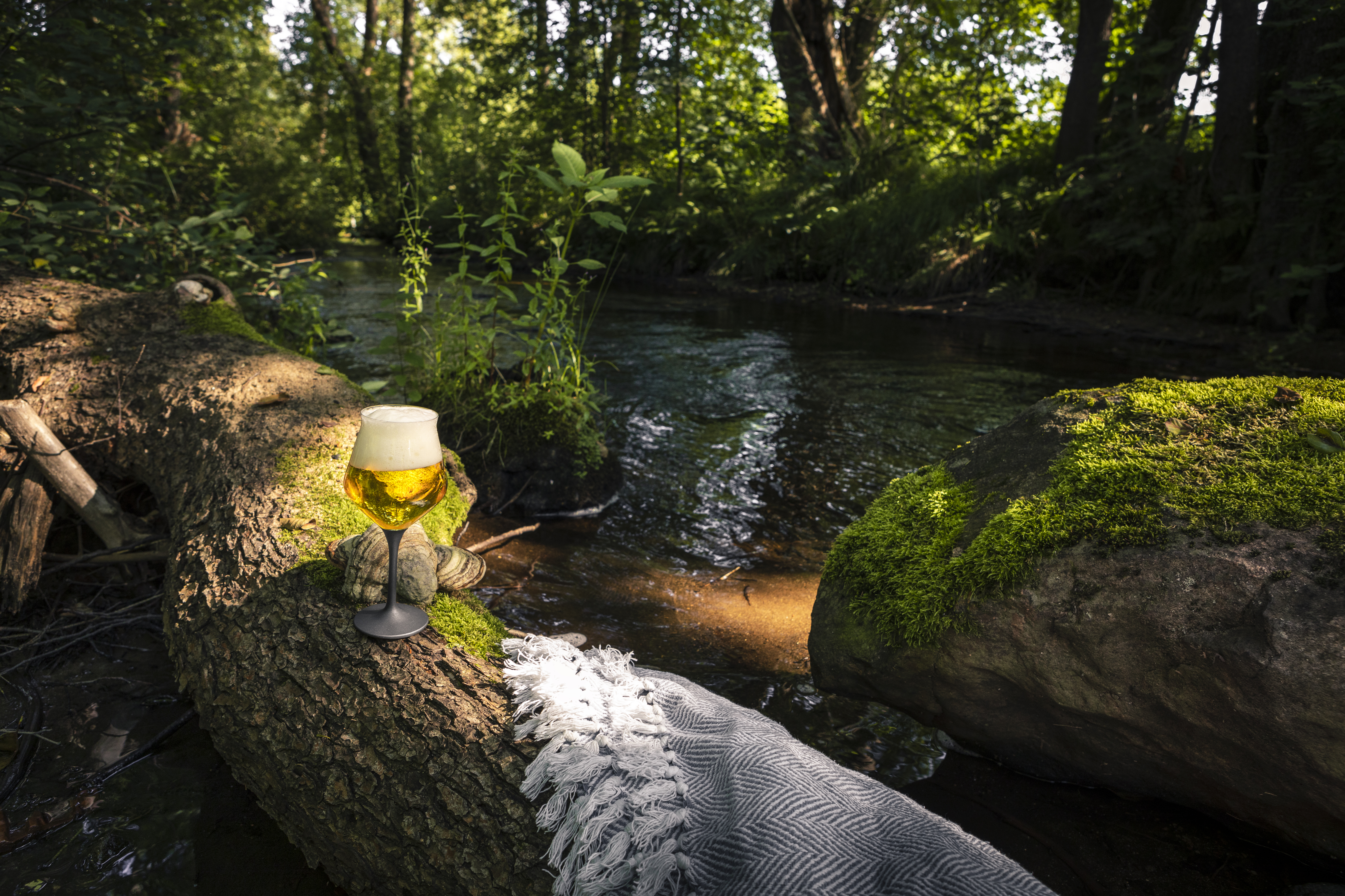 River in the forest next to a filled craft beer glass
