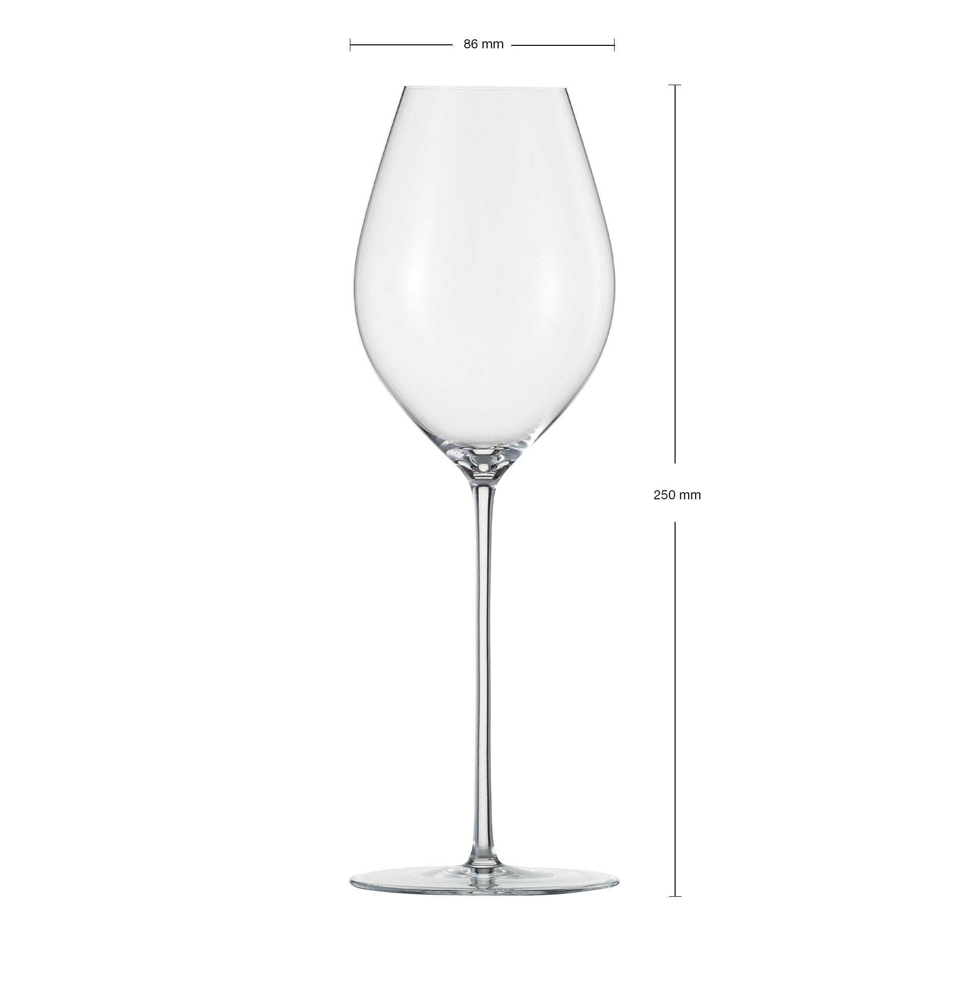 Champagne glass UNITY SENSISPLUS