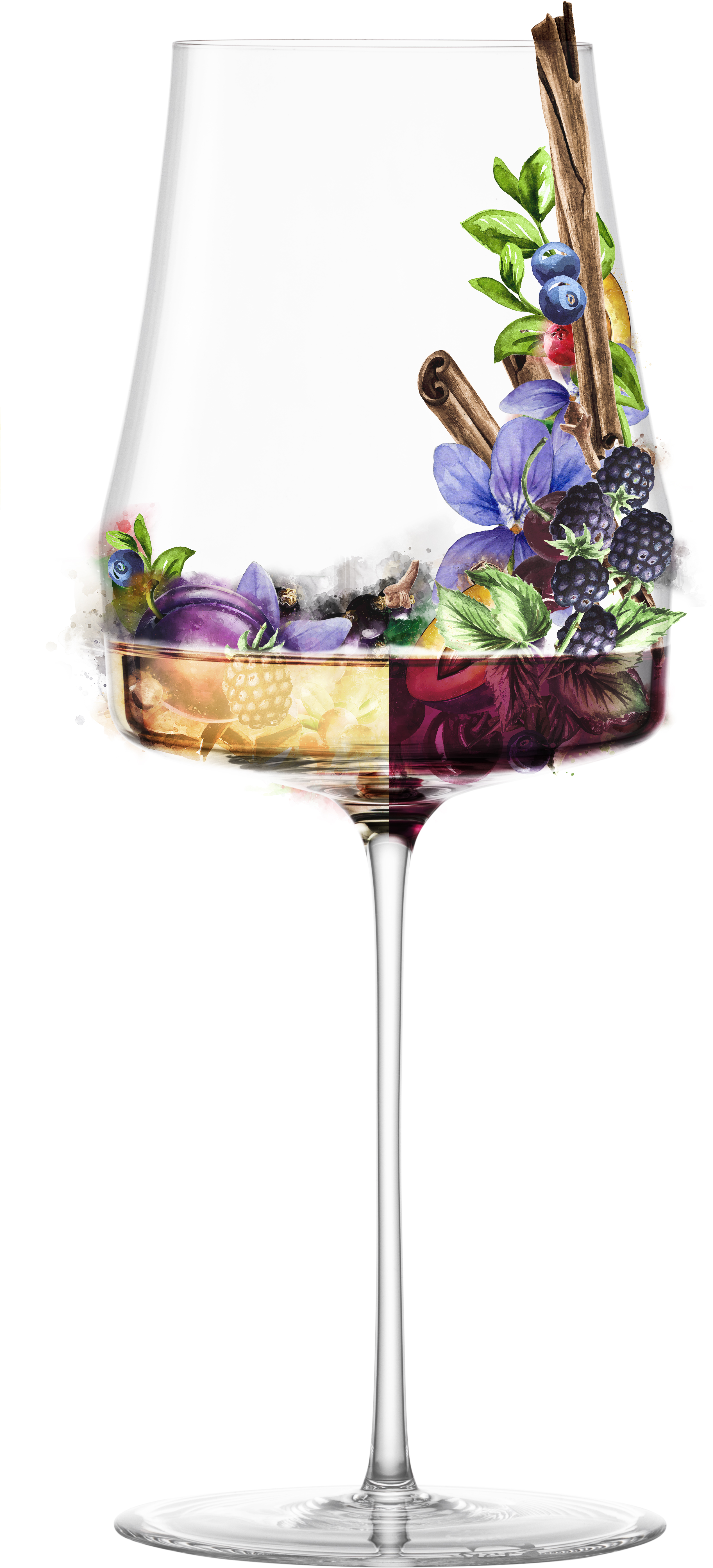 Weinglas Allround / Rotwein in Geschenkröhre TIMEFORM SENSISPLUS