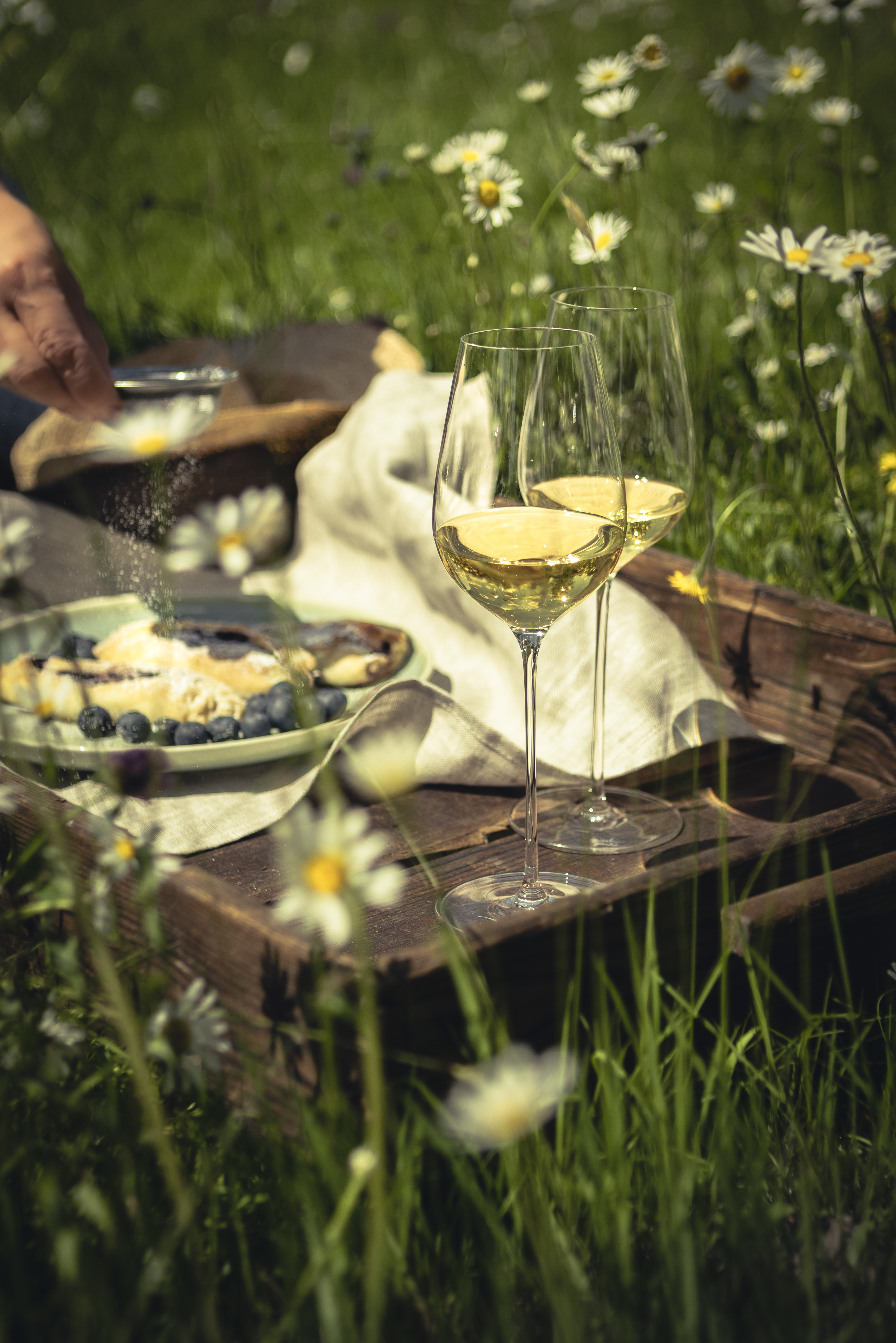 Picnic scene with two white wine glasses