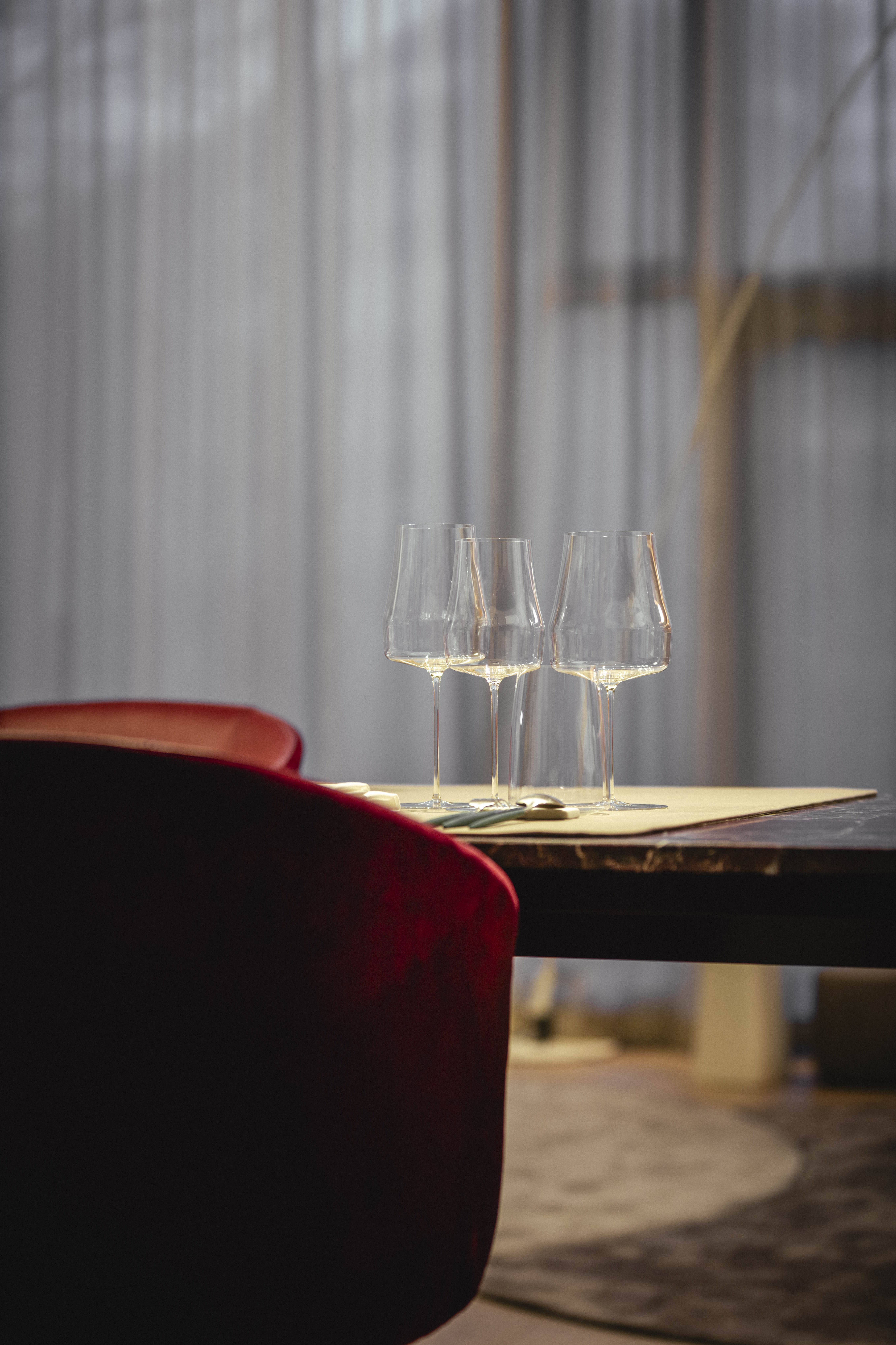 Weinglas Allround / Rotwein in Geschenkröhre TIMEFORM SENSISPLUS