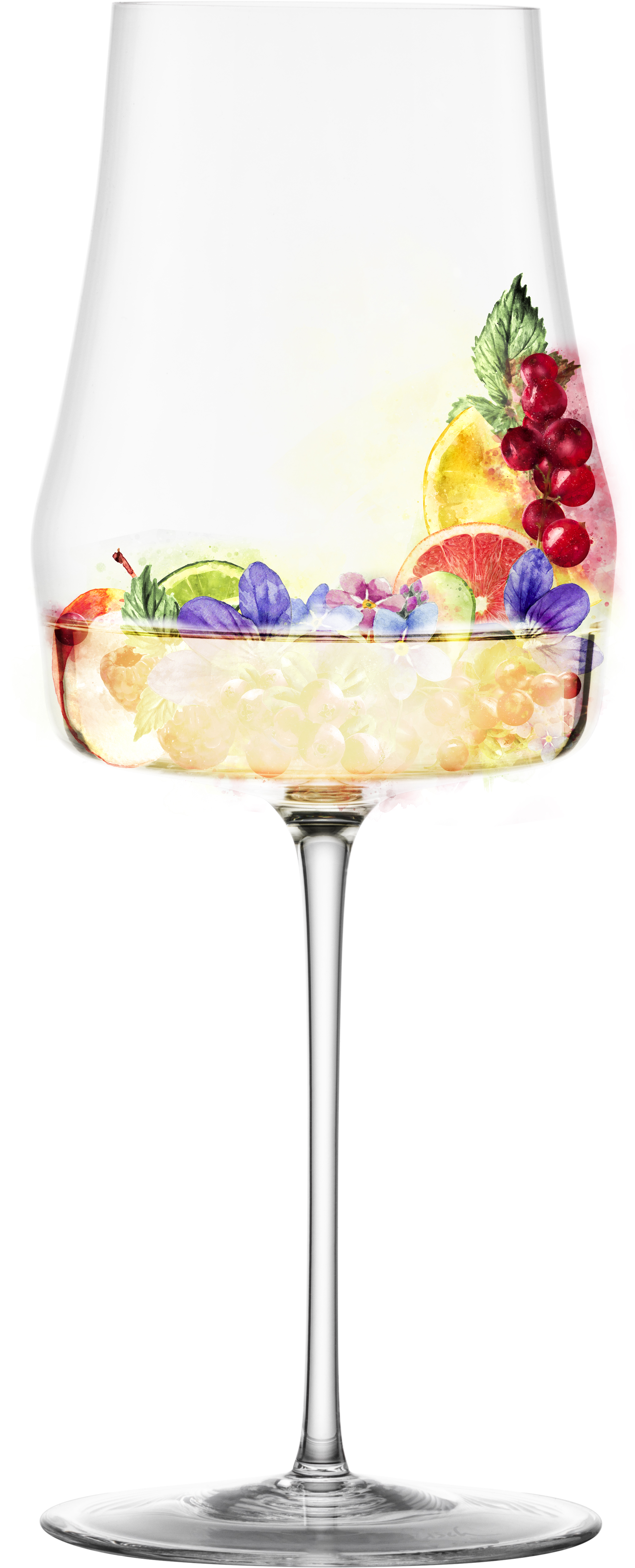 Weinglas Weißwein in Geschenkröhre TIMEFORM SENSISPLUS